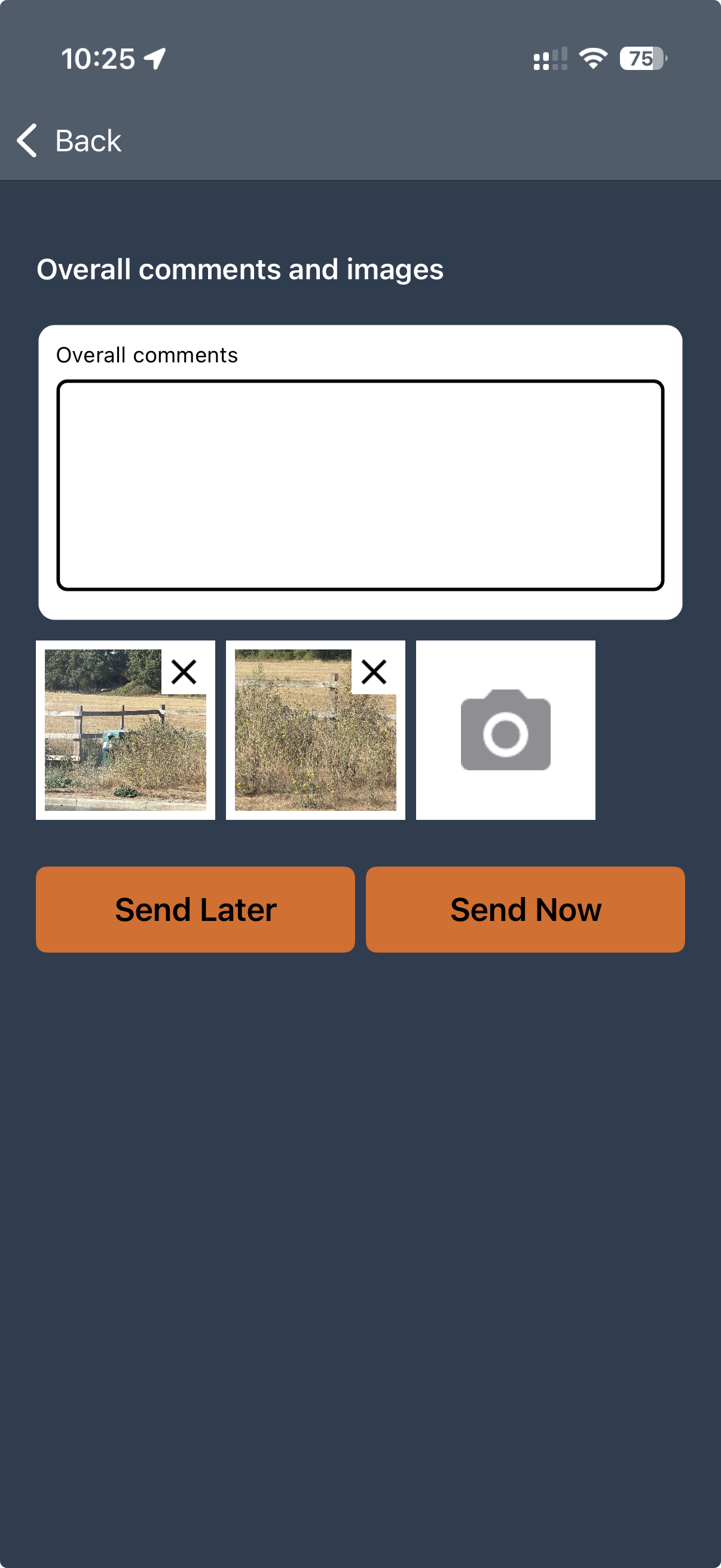 Overall comments, images, Send Later and Send Now controls